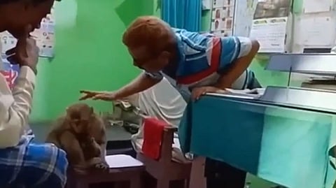 Trending Video|Viral Video