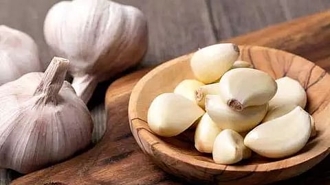 Health Benefits of Garlic