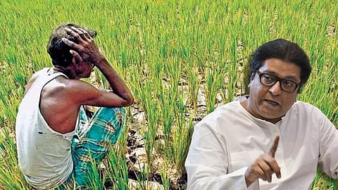 'राज ठाकरे अल्पभू-धारक शेतकरी दत्तक योजना'; शेतकऱ्यांच्या मदतीसाठी मनसे सरसावली