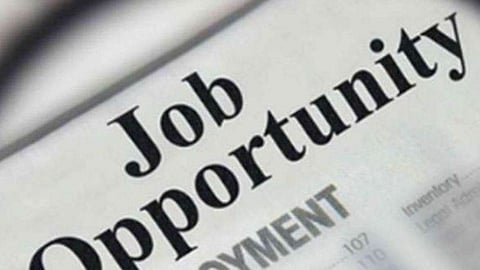 Job Recruitment 2022 | Government job Recruitment | IBPS PO Recruitment 2022