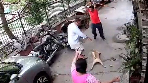 Shocking Video | viral video