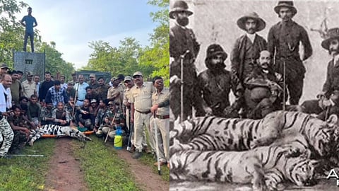 " त्या " फोटोने ब्रिटीशांचे फोटोसेशन आठवले ; वनविभागाचा फोटोवर वन्यजीव प्रेमी नाराज