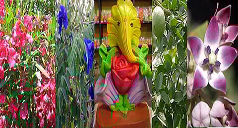 गणपतीला वाहण्यात येणाऱ्या पत्रींचे आयुर्वेदीक महत्व काय?