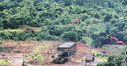 आरेतील झाडांचे भवितव्य आज ठरणार? पर्यावरण प्रेमींच्या याचिकेवर आज सुनावणी