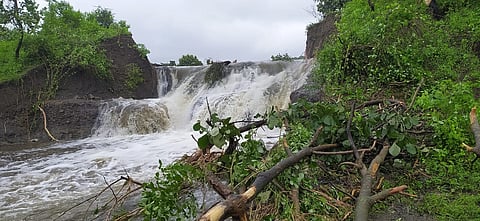 बांगडापूर शिवारातील पाझर तलाव फुटला; शेतपिकांचे मोठे नुकसान