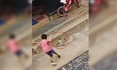 बापरे! विषारी नागाने फणा काढला, मुलाला चावा घेणार तेवढ्यात...