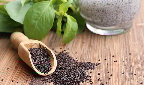 Basil Seeds