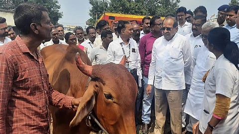 Radhakrishna Vikhe Patil