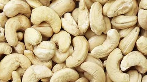 Cashew Nut Benefits