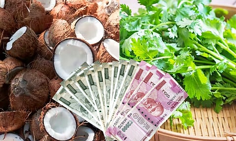 नारळाची किंमत सव्वा लाख तर कोथिंबीर पेंडी साडे आठ हजार...!