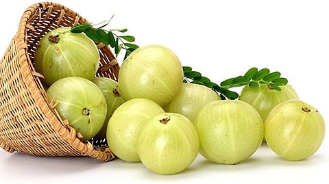 Amla Health Benefits