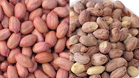 कोणते शेंगदाणे जास्त फायदेशीर, कच्चे की भाजलेले? जाणून घ्या फायदे