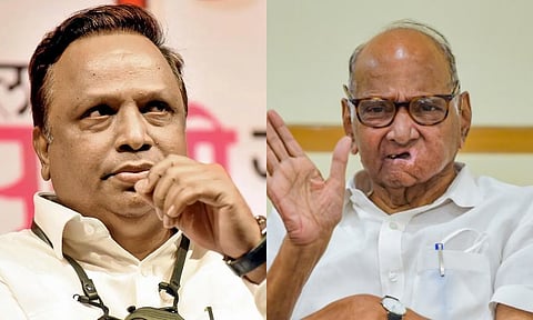 निवडणुकीत आशिष शेलारांना पाठिंबा दिला कारण...: शरद पवार