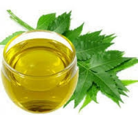 कडुलिंबाच्या पाण्याचा असा करावा वापर; कोंडा आणि केस गळणेही थांबेल