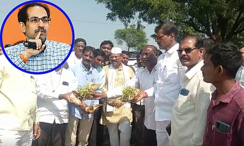 उद्धव ठाकरे औरंगाबादेत करणार पाहणी दौरा; त्याआधीच सत्तार शेतकऱ्यांच्या बांध्यावर