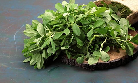 तुम्हालाही आवडत नाही मेथीची भाजी, मग 'हे' फायदे वाचाच रोज खाल