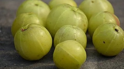 Amla Benefits