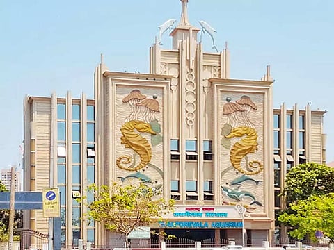 मुंबईतील प्रसिद्ध मत्स्यालयाच्या इमारतींना धक्काच; लवकरच पाडकाम करणार