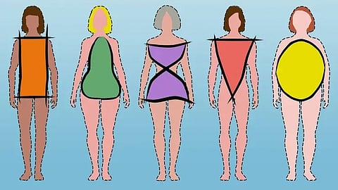 Body Types
