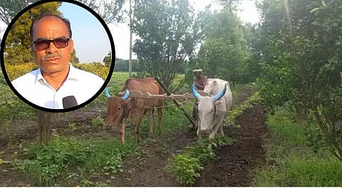 शेतकऱ्याची भन्नाट कल्पना! एका शाम्पूच्या पुडीने वाचवले लाखो रूपये व वन्य जीवांचे प्राण