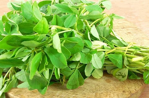 हिवाळ्यात मेथी का खाल्ली जाते? जाणून घ्या त्याचे फायदे