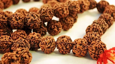 Rudraksh Niyam: रुद्राक्ष धारण केल्यानंतर 'या' गोष्टी लक्षात ठेवा