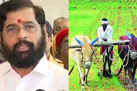 महाराष्ट्रातील शेतकऱ्यांसाठी खुशखबर; शेतकरी कर्जमुक्ती योजनेसाठी 700 कोटी रुपयांचा निधी मंजूर