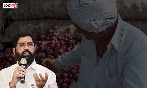 कांदा उत्पादक शेतकऱ्यांना मिळणार दिलासा, मुख्यमंत्री म्हणाले...