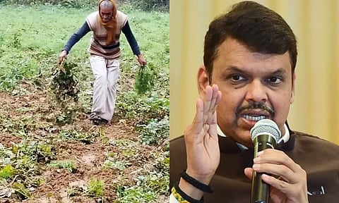 'या' जिल्ह्यांतील नुकसानग्रस्त शेतकऱ्यांना तातडीने मदत देणार; फडणवीसांची माहिती