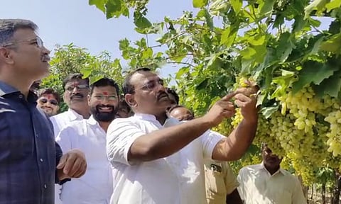 संप असताना देखील भल्या पहाटे कर्मचारी बांधावर; शेतकऱ्यांकडून कौतुक