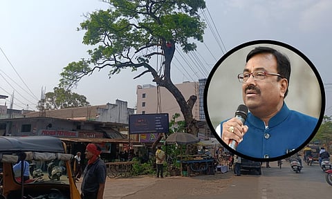 वनमंत्र्यांच्या मतदार संघात अवैध वृक्षतोड; महामार्गावरील झाडाची सर्रास कत्तल