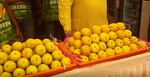 पुणेकर विक्रेत्याची भन्नाट आयडिया; हापूस आंब्याची पेटी आता मिळणार हप्त्यावर