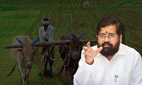 शेतकऱ्यांच्या जमिनी सरकार भाड्यांवरती घेणार आणि...; एकनाथ शिंदेंची महत्वपूर्ण माहिती