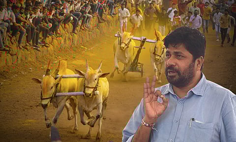 बैलगाडा शर्यतीच्या निकालावर सुप्रीम कोर्टाचे आभार, मात्र... : बच्चू कडू