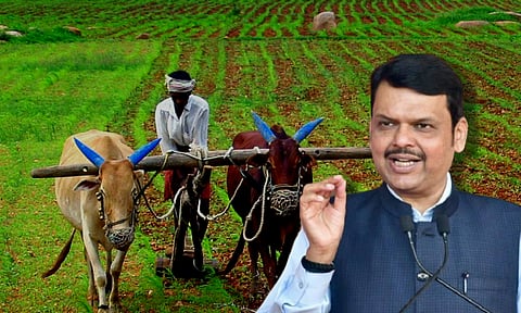 नमो शेतकरी सन्मान योजनेअंतर्गत शेतकऱ्यांना 12 हजार मिळणार; फडणवीसांची घोषणा