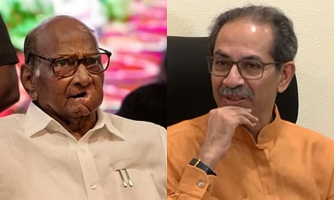 शरद पवारांना मी सल्ला देणार नाही; का म्हणाले उध्दव ठाकरे असे?