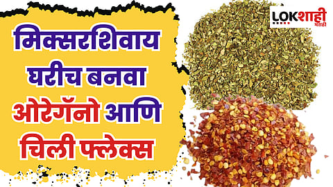 मिक्सरशिवाय घरीच बनवा ओरेगॅनो आणि चिली फ्लेक्स