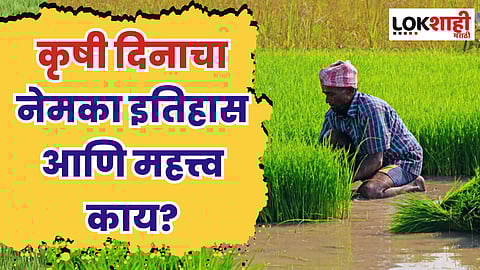 Maharashtra Agricultural Day: कृषी दिनाचा नेमका इतिहास आणि महत्त्व काय?