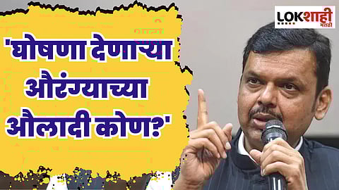 एमआयएमच्या रॅलीत औरंगजेबाच्या घोषणाबाजीवर फडणवीसांची पहिली प्रतिक्रिया; घोषणा देणाऱ्या औरंग्याच्या औलादी कोण?