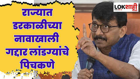 सध्या राज्यात डरकाळीच्या नावाखाली गद्दार लांडग्यांचे पिचकणे; सामनातून जोरदार हल्लाबोल