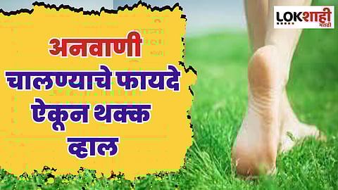 गवतावर अनवाणी चालण्याचे फायदे जाणून घ्या; आजार दूर राहतील