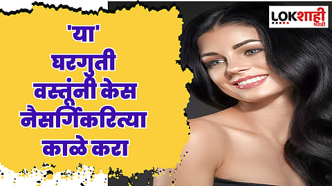 Hair Care Tips: 'या' घरगुती वस्तूंनी केस नैसर्गिकरित्या काळे करा, वाचा योग्य पद्धत