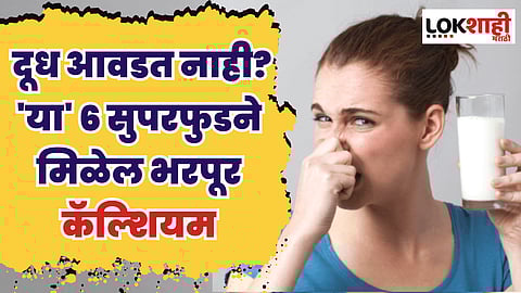 Calcium Food : दूध आवडत नाही? 'या' 6 सुपरफुडने मिळेल भरपूर कॅल्शियम
