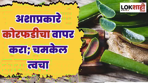 अशाप्रकारे कोरफडीचा वापर करा; चमकेल त्वचा