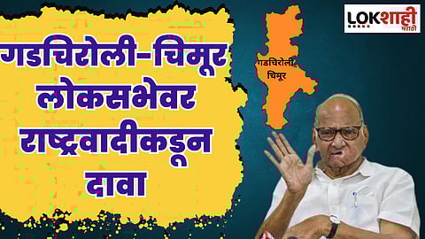 गडचिरोली-चिमूर लोकसभेवर राष्ट्रवादीकडून दावा; उमेदवारही ठरला?