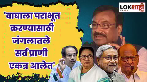 वाघाला पराभूत करण्यासाठी जंगलातले सर्व प्राणी एकत्र आलेत; मुनगंटीवारांचे विरोधकांवर टीकास्त्र