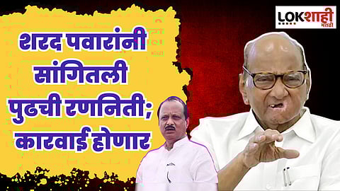 शरद पवारांनी सांगितली पुढची रणनिती; कारवाई होणार