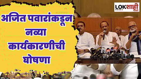 अजित पवारांकडून नव्या कार्यकारणीची घोषणा, 'हे' असणार नवे प्रदेशाध्यक्ष