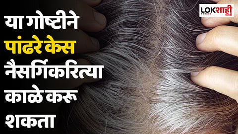 स्वयंपाकघरात ठेवलेल्या 'या' गोष्टीने पांढरे केस नैसर्गिकरित्या काळे करू शकता