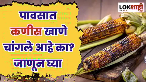 पावसात कणीस खाणे चांगले आहे का? जाणून घ्या